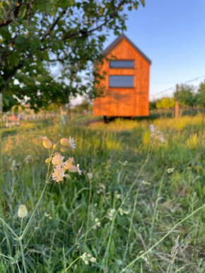 Tiny house Pálava